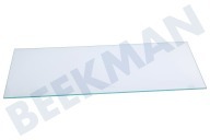 Pelgrim Tiefkühlschrank 35879 Glasplatte geeignet für u.a. KK2224AP05, KK2174AP01