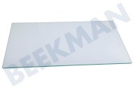 Pelgrim 35851  Glasplatte Gemüseschublade geeignet für u.a. KK3302AP02, KK2304AP01