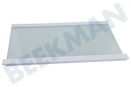Pelgrim 566819 Tiefkühler Glasplatte geeignet für u.a. PCS4178L, PCS3178L