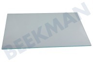 Pelgrim 563773 Eisschrank Glasplatte geeignet für u.a. PCS3178L, PCS4178L