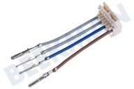 Pelgrim 103163 Tiefkühltruhe Kabel geeignet für u.a. KB8204 Magnetschalter geeignet für u.a. KB8204
