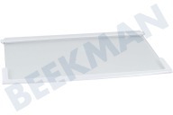Glasplatte geeignet für u.a. FAB28, FAB32 49,8x34,5cm + Schutzstrip