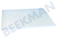 Samsung DA9713502D Gefrierschrank DA97-13502D Glasplatte geeignet für u.a. RB29FEJNCSA, RB29FERNCSA, RL38T602CSA/EG