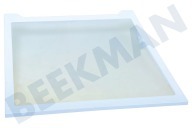 Samsung DA9716728A Kühlschrank DA97-16728A Glasplatte geeignet für u.a. RS53K4400SA, RS53K4600SA