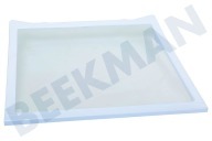 Samsung DA9716729A Tiefkühlschrank DA97-16729A Glasplatte, Mitte geeignet für u.a. RS4000K