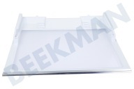 Samsung DA9716884A Gefrierschrank DA97-16884A Glasregal Gemüseschublade geeignet für u.a. RB38K7998S4