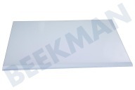 Samsung DA9721202A Eisschrank DA97-21202A Glasablage geeignet für u.a. RB38A6B62AP/UA