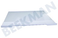 Samsung DA9713550A DA97-13550A Eisschrank Glasplatte Gemüsebehälter geeignet für u.a. RB29FSJNDSS, RB29FSRNDSA
