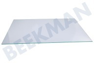 Samsung DA9715985A Eisschrank DA97-15985A Glasplatte geeignet für u.a. RB37J5200WW, RB31FSRNDSA