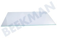 Samsung DA9715541B Eiskast DA97-15541B Glasplatte geeignet für u.a. RB36J8799S4, RB36J8059S4