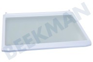 Samsung DA6703366A DA67-03366A Eisschrank Glasplatte geeignet für u.a. RSA1ZTPE, RSA1UTMG komplett geeignet für u.a. RSA1ZTPE, RSA1UTMG