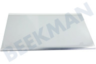 Samsung DA9713502G DA97-13502G  Glasplatte geeignet für u.a. RB29FEJNBSA, RB37J5349SL Komplett, Kühlschrank, RL31/29 Best, Silber geeignet für u.a. RB29FEJNBSA, RB37J5349SL