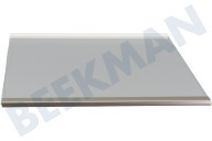 Samsung DA9716364K DA97-16364K Gefrierschrank Glasplatte geeignet für u.a. RH69B8921B1, RS68A8521S9, RS68A8832S9, RS68CG853ES9 Komplett, Ablage unten geeignet für u.a. RH69B8921B1, RS68A8521S9, RS68A8832S9, RS68CG853ES9