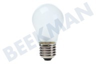 Samsung 4713001201 4713-001201  Lampe geeignet für u.a. RL38HGIS1, RSH1DTPE1 Bulb 40W E27 geeignet für u.a. RL38HGIS1, RSH1DTPE1