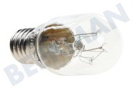 Samsung 4713000213 4713-000213 Eisschrank Lampe geeignet für u.a. 75lm 15W 240V E14 geeignet für u.a. 75lm
