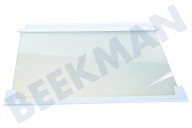 Rex 2251531063 Glasplatte geeignet für u.a. ZI9225A, ZI2404, ERO2286  Glasplatte mit Schutzrand geeignet für u.a. ZI9225A, ZI2404, ERO2286