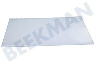Satrap 2109403036 Tiefkühlschrank Glasplatte komplett geeignet für u.a. ZRA40100WA, KS4021X