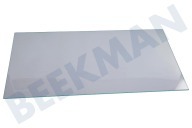 Elektra-bregenz 2249020047 Kühlschrank Glasplatte geeignet für u.a. ZBB24430SA, SCS51400S1