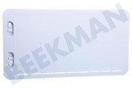 Dometic 9620009209 Eisschrank EWS300 Winter-Panel Weiß LS300 geeignet für u.a. LS300