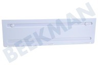 Dometic 289059600 Eisschrank Abdeckplatte geeignet für u.a. LS200 Abdeckung für Lüftungsgitter geeignet für u.a. LS200