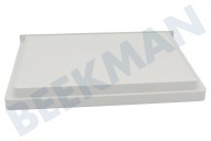 Dometic 207999345 Eisschrank Bodenplatte Gefrierfach geeignet für u.a. RML104, RML104T