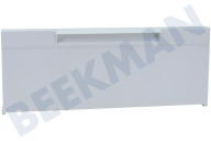 Unknown 295146807 Kühlschrank Gefrierfachklappe geeignet für u.a. RM4400, RM4290L