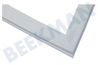 LG Tiefkühler ADX32663142 Türdichtung Gefrierteil geeignet für u.a. GR469BTQA, GRB429BLQW