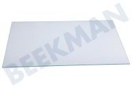 LG Eisschrank MHL64471706 Glasplatte geeignet für u.a. GWB459NQHM, GCB459NQJZ