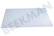 LG AHT74973903 Eisschrank Glasplatte komplett geeignet für u.a. GWB459NQHM, GCB459NQJZ