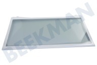 LG AHT32809301 Eisschrank Glasplatte geeignet für u.a. GRB652YLSK Ablagefläche geeignet für u.a. GRB652YLSK