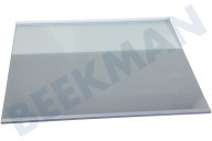 LG ACQ30340402 Eisschrank Glasplatte Abdeckung der Gemüseschublade