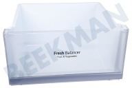 LG Kühlschrank AJP74894405 Gemüseschublade Fresh Balancer geeignet für u.a. GCX247CSAZ, GCX247CSTZ