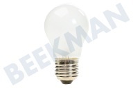 Atag 6912JB2004L Kühlschrank Lampe geeignet für u.a. GCP227, GRL218AT, GRP209 40W E27 240V matt geeignet für u.a. GCP227, GRL218AT, GRP209