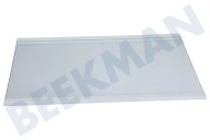Inventum 30300900533 Eisschrank Glasablagefach geeignet für u.a. KV1808R, KV1800NF