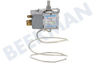 Inventum 30301000089 Tiefkühler Thermostat geeignet für u.a. KV600, RKV550B