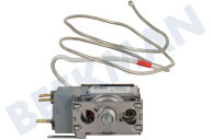 Inventum 30301000417 Eiskast Thermostat geeignet für u.a. KK055R, RKK551B