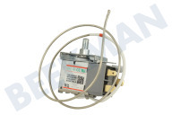 Inventum 30301000055  Thermostat geeignet für u.a. KK1420, KV1770