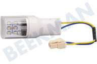 Inventum 30301000049 Eisschrank LED-Lampe geeignet für u.a. KK500, EDKV142ZA
