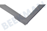 Haier 49046011 0060829116AK Kühlschrank Dichtungsgummi geeignet für u.a. HB16FMAAAB00U60E8V, HB16FMAA Kühlschrank geeignet für u.a. HB16FMAAAB00U60E8V, HB16FMAA