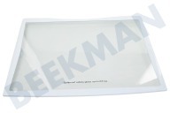 Haier 49053659 Kühlschrank 0060810246 Glasplatte geeignet für u.a. AFD631GBBB03W1E82