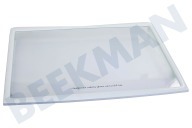 Haier 49053953 Tiefkühlschrank 0060206524 Glasplatte geeignet für u.a. AFD631GBBB03W1E82