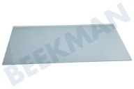 Haier 49054658 Tiefkühlschrank 0060305288 Glasplatte geeignet für u.a. B3FE742CMJBB09Y4E1Q
