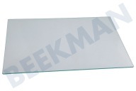 0071400157 Glasplatte geeignet für u.a. H2F220WSAA, H2F255WSAA Glasplatte
