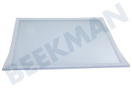 Hisense HK1888631 Tiefkühlschrank Deckel des Gemüsebehälters geeignet für u.a. RB438N4GX3, KNF60X18