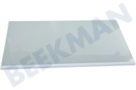 Hisense HK2003406  Glasplatte geeignet für u.a. R4142PW, R4142PS Vollständig geeignet für u.a. R4142PW, R4142PS
