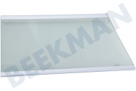 Hisense HK1877700 Eisschrank Glasplatte geeignet für u.a. RS694N4TFE, RS741N4WC11 Vollständig geeignet für u.a. RS694N4TFE, RS741N4WC11