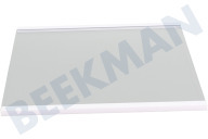 Hisense HK2004348 Tiefkühler Glasplatte geeignet für u.a. RS560N4AD1, NRS8182KX