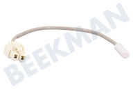 Hisense HK1629350 Eiskast Temperaturfühler geeignet für u.a. RS677N4AC1, NRS918EMB