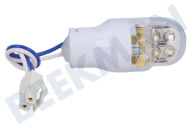 Hisense HK1635757  Lampe geeignet für u.a. RD23DC4SAD, RD22DC4SHAC LED-Lampe geeignet für u.a. RD23DC4SAD, RD22DC4SHAC