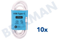 Grab 'n Go GNG137  USB Anschlusskabel USB Type C Male zu USB Type A Male, Weiß 1Meter